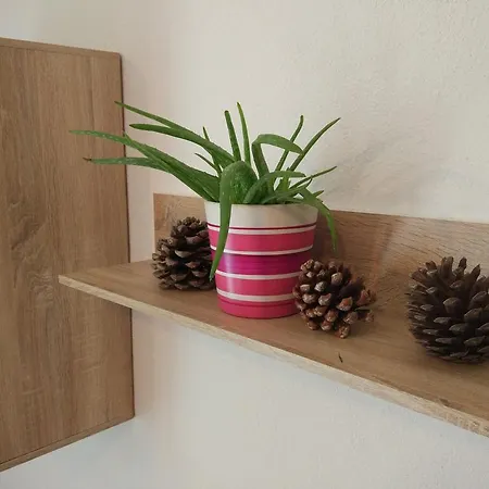 Apartamento Tome Biograd Na Moru