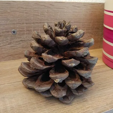 Tome Apartmán Biograd Na Moru