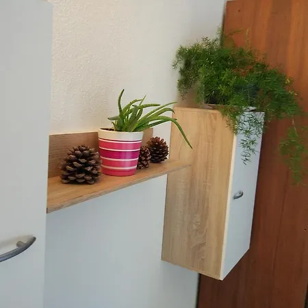 Tome Biograd Na Moru