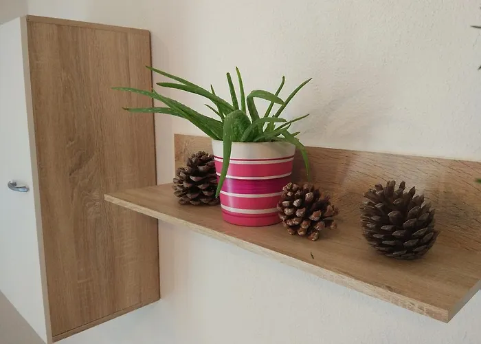 Apartament Tome Biograd Na Moru